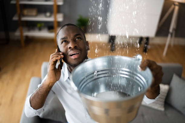 Best Local water damage restoration  in Lafayette, TN