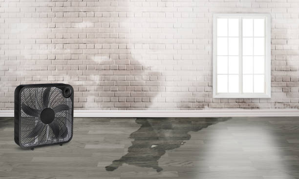 Professional Water damage restoration in Lafayette, TN